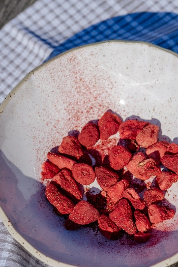 liofilizirane-jagode-40-g